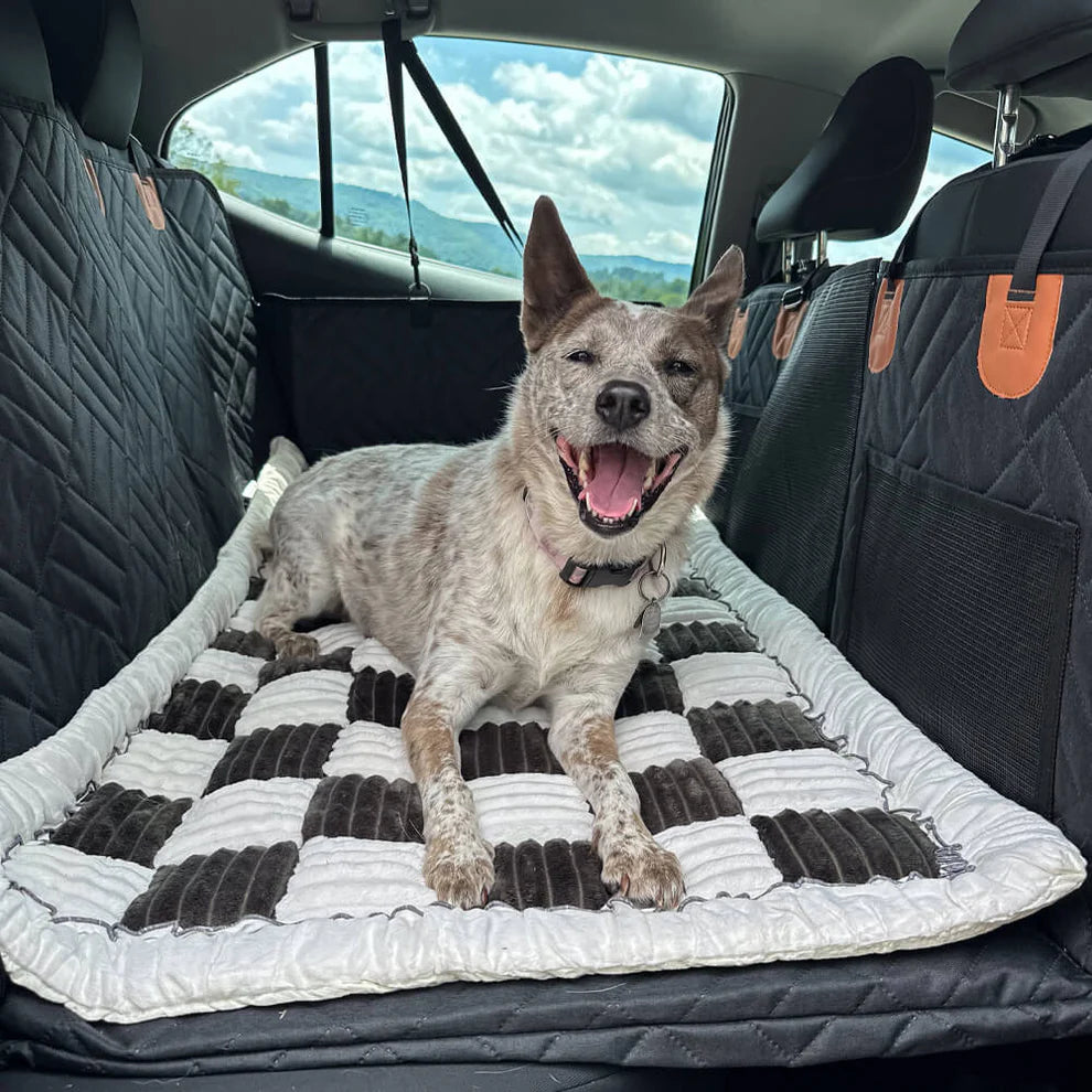 Backseat Extender for Dogs
