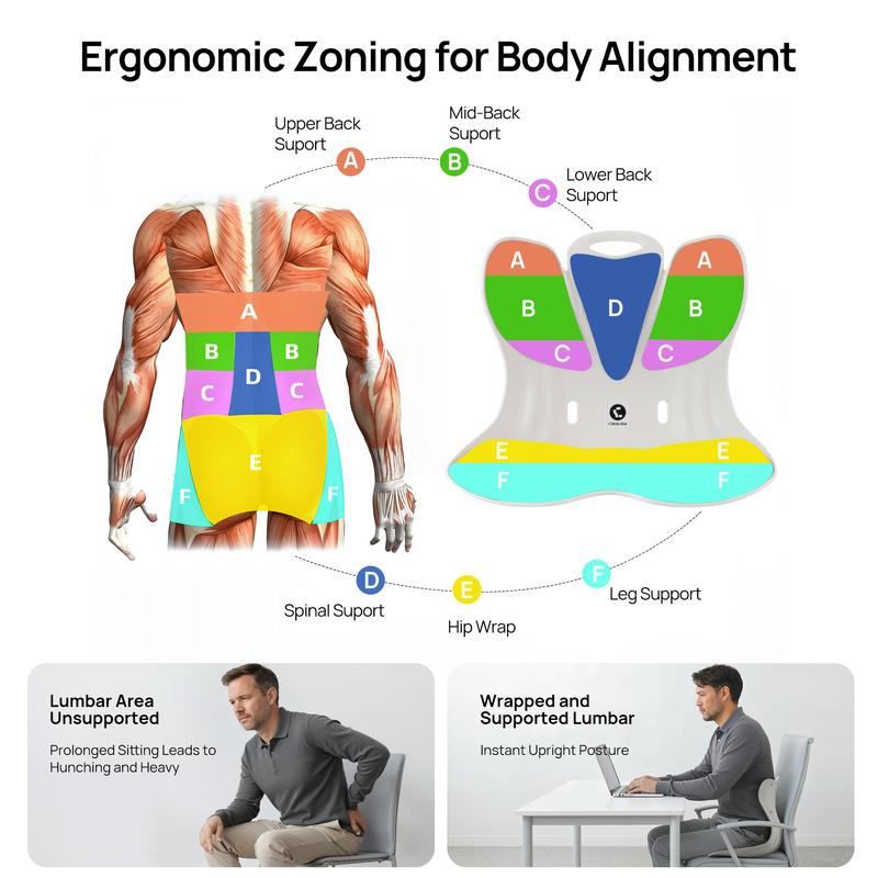 Omni™  Seat Dynamic Lumbar Suppor 2026