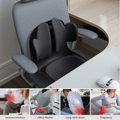 Omni™  Seat Dynamic Lumbar Suppor 2026